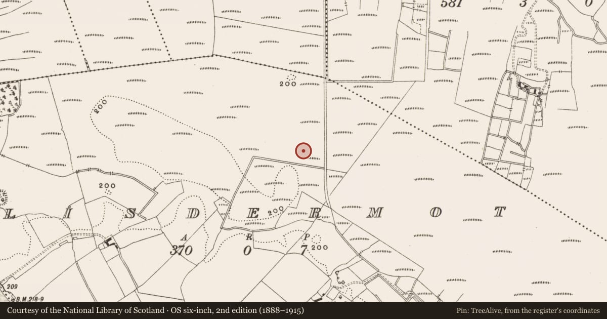 Ordnance Survey six-inch map, 2nd edition (1888–1915) covering the location of Structure - peatland, Lisdermot, County Offaly, with a pin at the register's coordinates