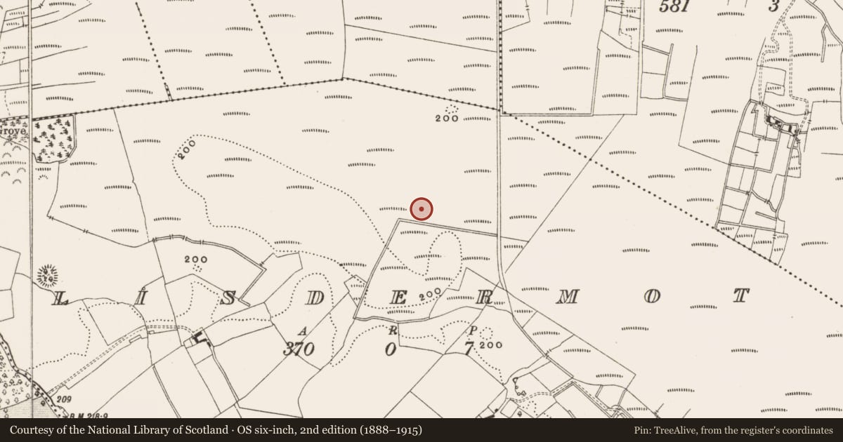 Ordnance Survey six-inch map, 2nd edition (1888–1915) covering the location of Structure - peatland, Lisdermot, County Offaly, with a pin at the register's coordinates