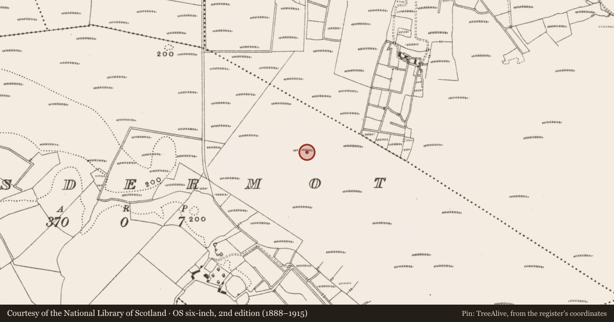 Ordnance Survey six-inch map, 2nd edition (1888–1915) covering the location of Structure - peatland, Lisdermot, County Offaly, with a pin at the register's coordinates