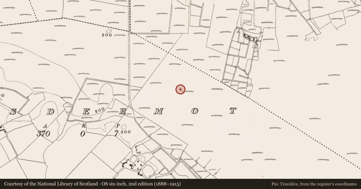 Ordnance Survey six-inch map, 2nd edition (1888–1915) covering the location of Structure - peatland, Lisdermot, County Offaly, with a pin at the register's coordinates