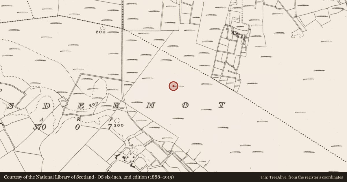 Ordnance Survey six-inch map, 2nd edition (1888–1915) covering the location of Structure - peatland, Lisdermot, County Offaly, with a pin at the register's coordinates
