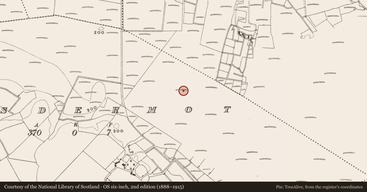 Ordnance Survey six-inch map, 2nd edition (1888–1915) covering the location of Road - class 3 togher, Lisdermot, County Offaly, with a pin at the register's coordinates