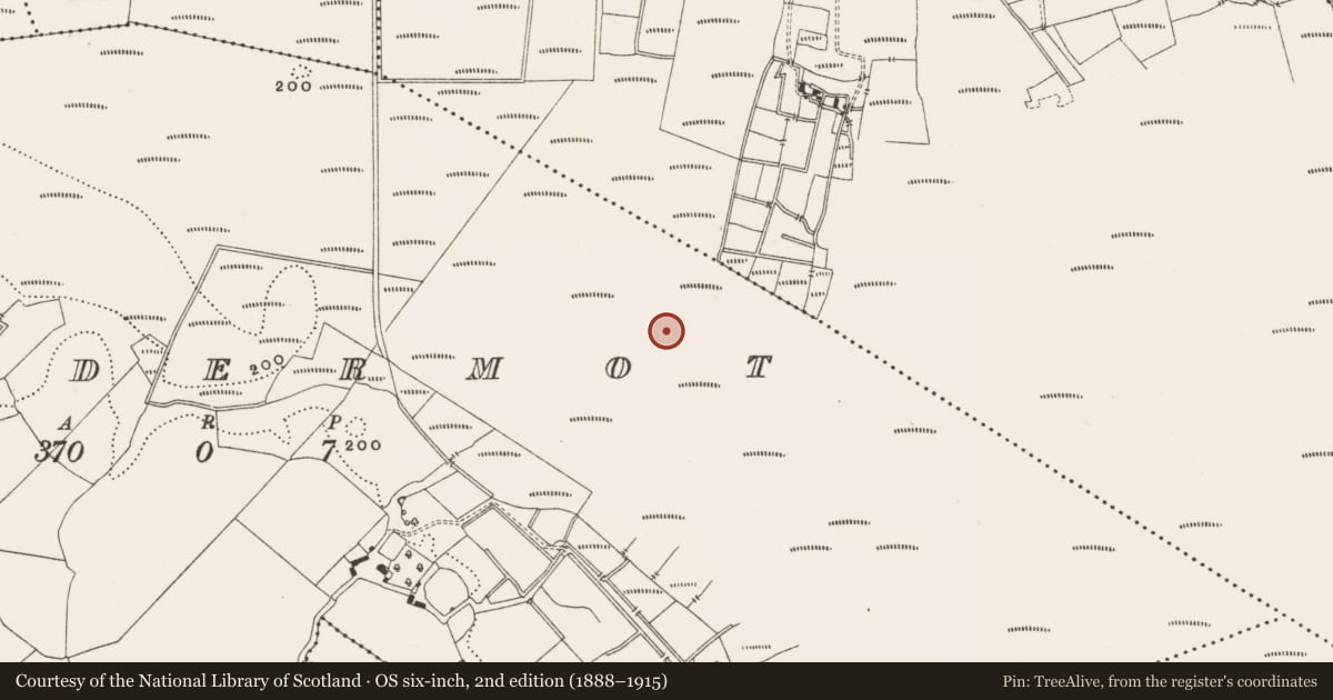 Ordnance Survey six-inch map, 2nd edition (1888–1915) covering the location of Structure - peatland, Lisdermot, County Offaly, with a pin at the register's coordinates