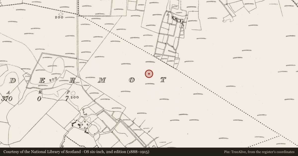 Ordnance Survey six-inch map, 2nd edition (1888–1915) covering the location of Structure - peatland, Lisdermot, County Offaly, with a pin at the register's coordinates