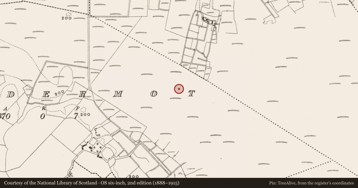Ordnance Survey six-inch map, 2nd edition (1888–1915) covering the location of Structure - peatland, Lisdermot, County Offaly, with a pin at the register's coordinates
