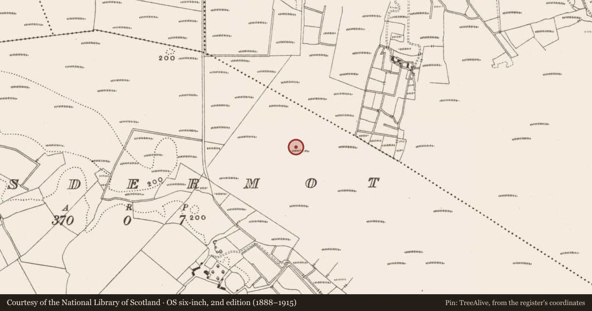 Ordnance Survey six-inch map, 2nd edition (1888–1915) covering the location of Structure - peatland, Lisdermot, County Offaly, with a pin at the register's coordinates