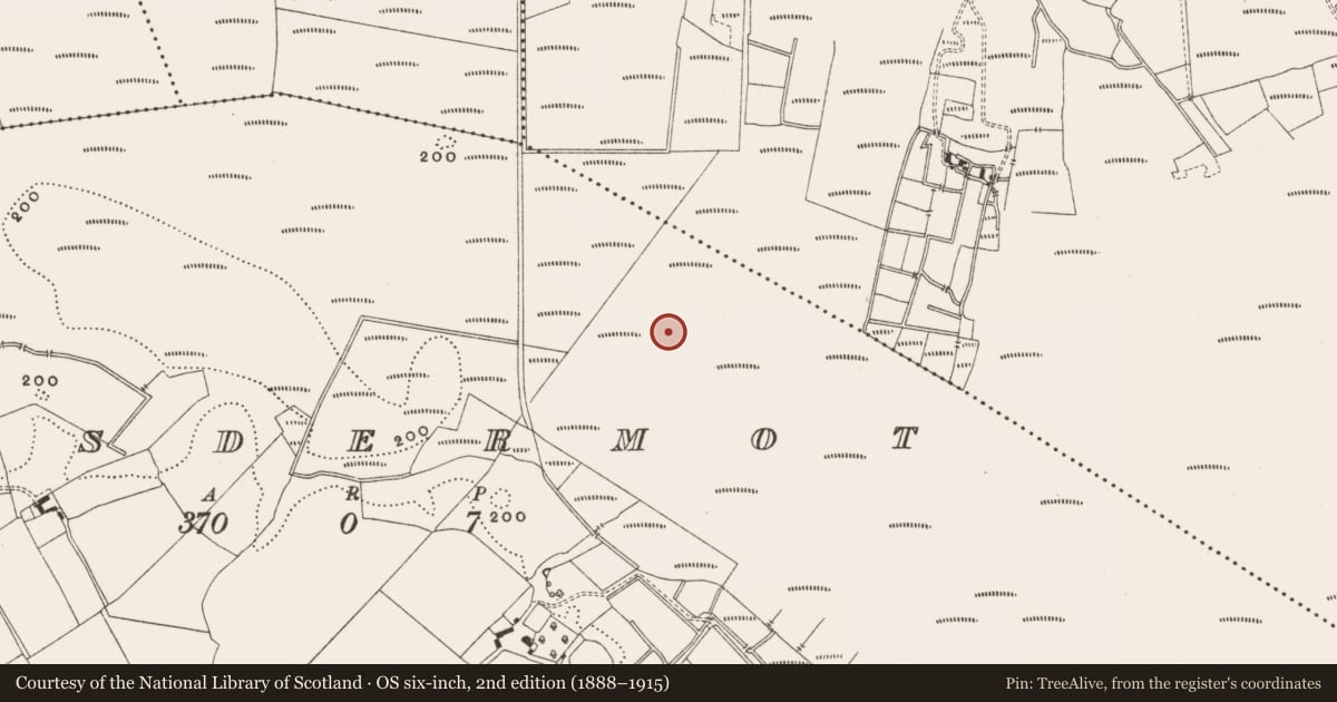Ordnance Survey six-inch map, 2nd edition (1888–1915) covering the location of Structure - peatland, Lisdermot, County Offaly, with a pin at the register's coordinates