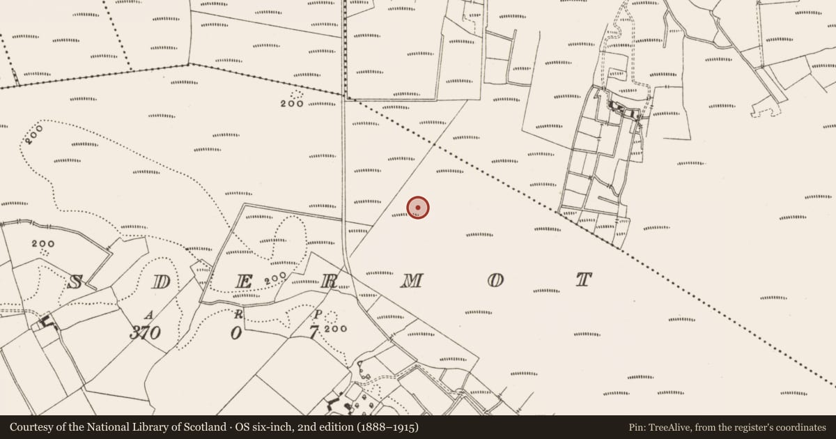 Ordnance Survey six-inch map, 2nd edition (1888–1915) covering the location of Structure - peatland, Lisdermot, County Offaly, with a pin at the register's coordinates