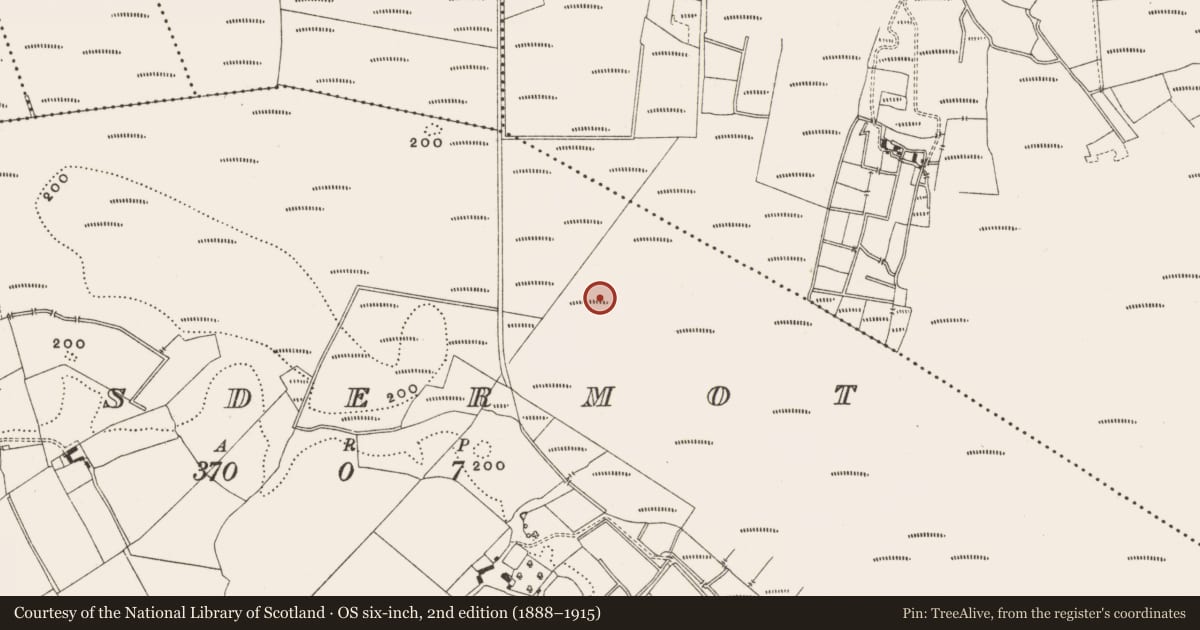 Ordnance Survey six-inch map, 2nd edition (1888–1915) covering the location of Structure - peatland, Lisdermot, County Offaly, with a pin at the register's coordinates