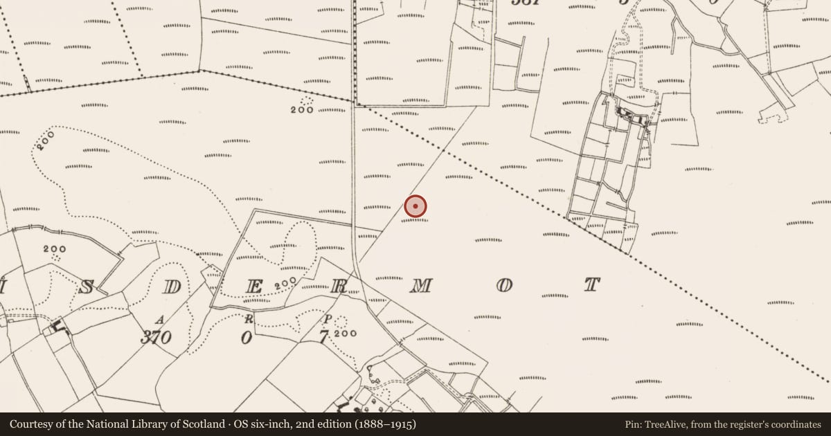 Ordnance Survey six-inch map, 2nd edition (1888–1915) covering the location of Structure - peatland, Lisdermot, County Offaly, with a pin at the register's coordinates