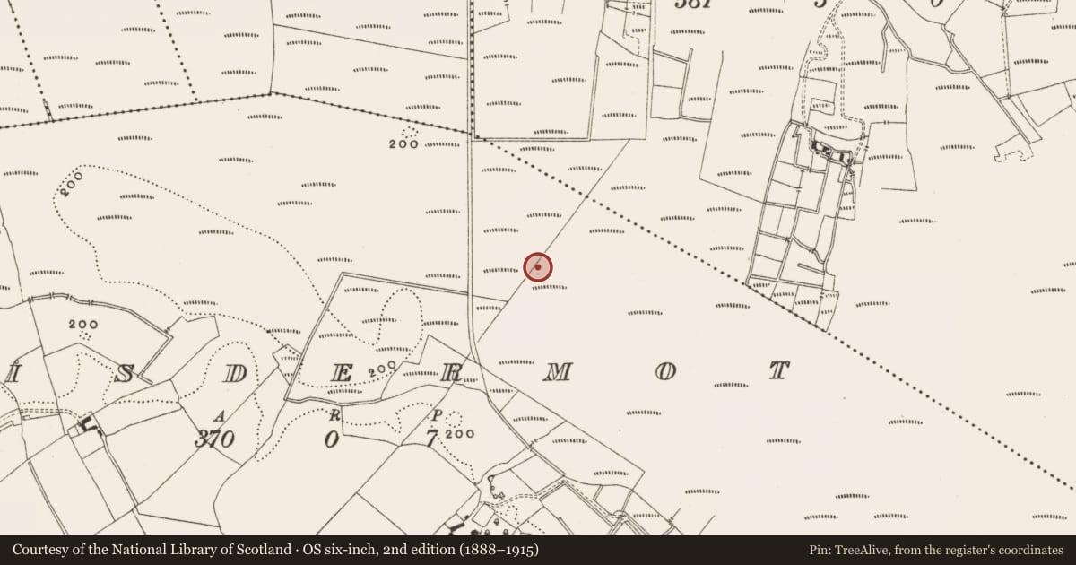 Ordnance Survey six-inch map, 2nd edition (1888–1915) covering the location of Structure - peatland, Lisdermot, County Offaly, with a pin at the register's coordinates