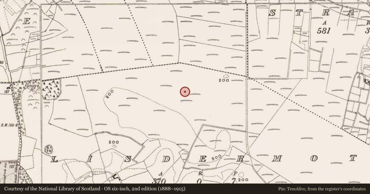 Ordnance Survey six-inch map, 2nd edition (1888–1915) covering the location of Structure - peatland, Lisdermot, County Offaly, with a pin at the register's coordinates