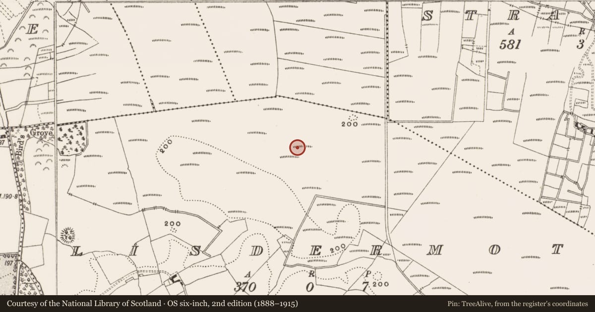 Ordnance Survey six-inch map, 2nd edition (1888–1915) covering the location of Structure - peatland, Lisdermot, County Offaly, with a pin at the register's coordinates