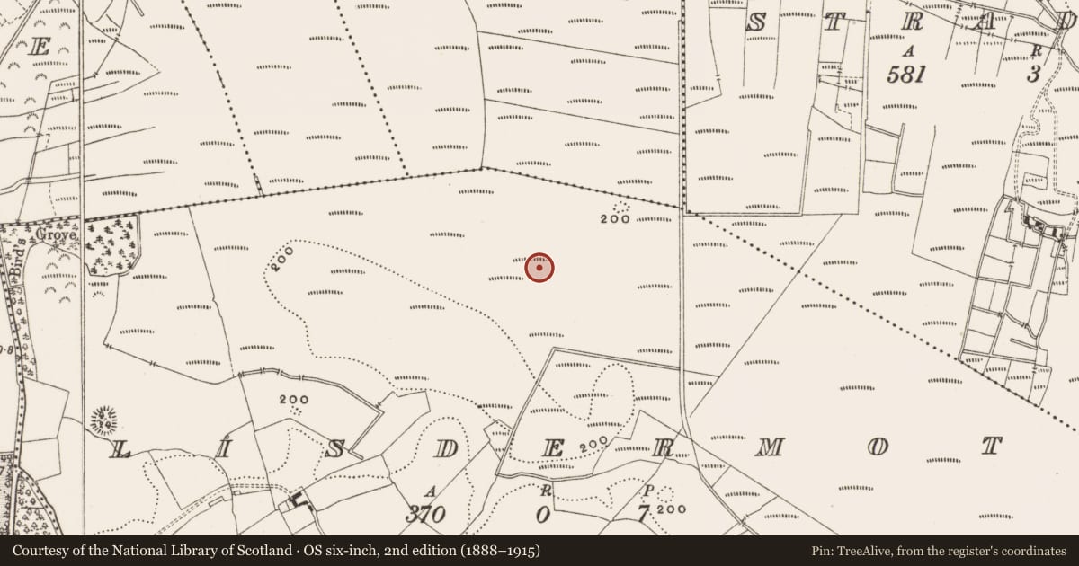 Ordnance Survey six-inch map, 2nd edition (1888–1915) covering the location of Structure - peatland, Lisdermot, County Offaly, with a pin at the register's coordinates