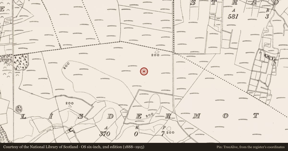Ordnance Survey six-inch map, 2nd edition (1888–1915) covering the location of Structure - peatland, Lisdermot, County Offaly, with a pin at the register's coordinates