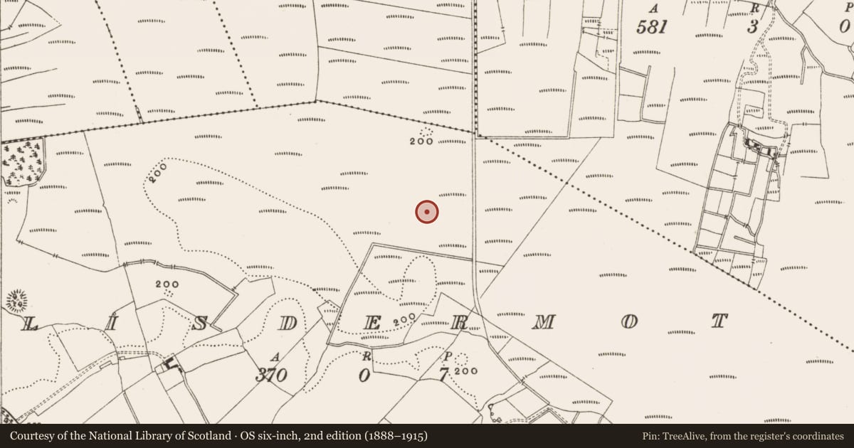 Ordnance Survey six-inch map, 2nd edition (1888–1915) covering the location of Structure - peatland, Lisdermot, County Offaly, with a pin at the register's coordinates