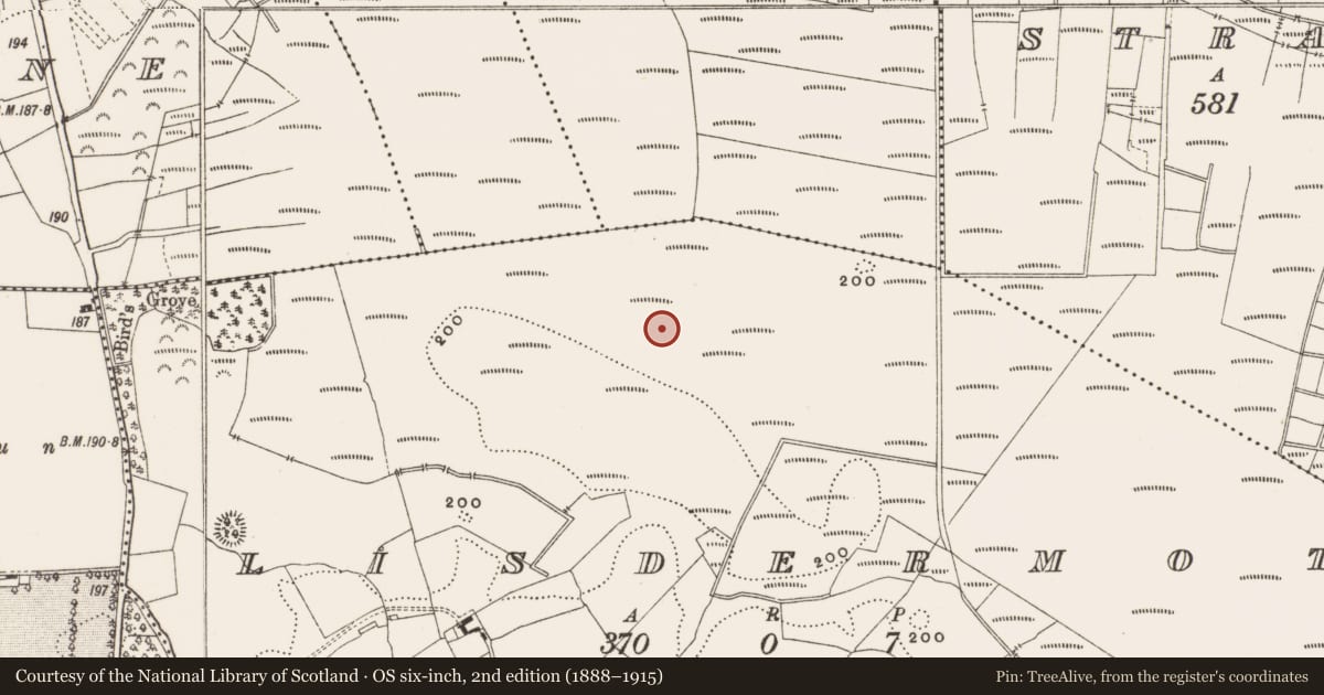 Ordnance Survey six-inch map, 2nd edition (1888–1915) covering the location of Structure - peatland, Lisdermot, County Offaly, with a pin at the register's coordinates
