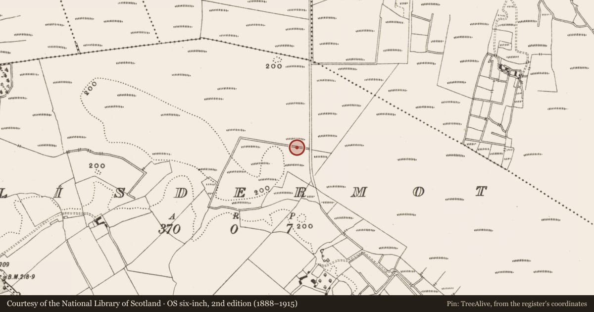 Ordnance Survey six-inch map, 2nd edition (1888–1915) covering the location of Structure - peatland, Lisdermot, County Offaly, with a pin at the register's coordinates