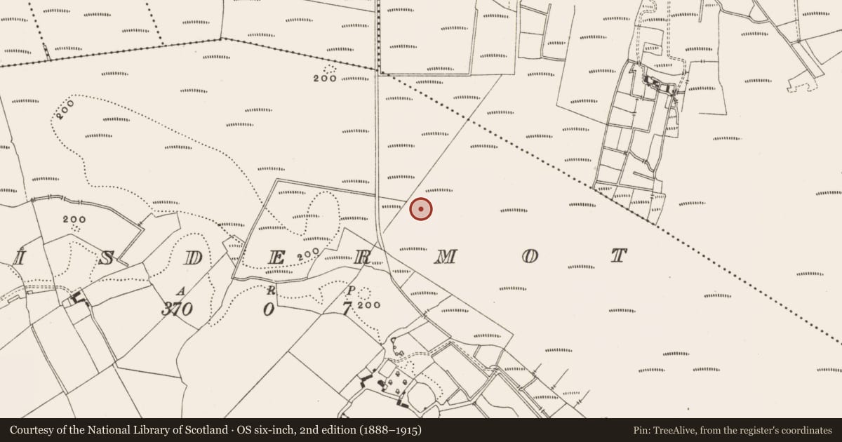 Ordnance Survey six-inch map, 2nd edition (1888–1915) covering the location of Structure - peatland, Lisdermot, County Offaly, with a pin at the register's coordinates