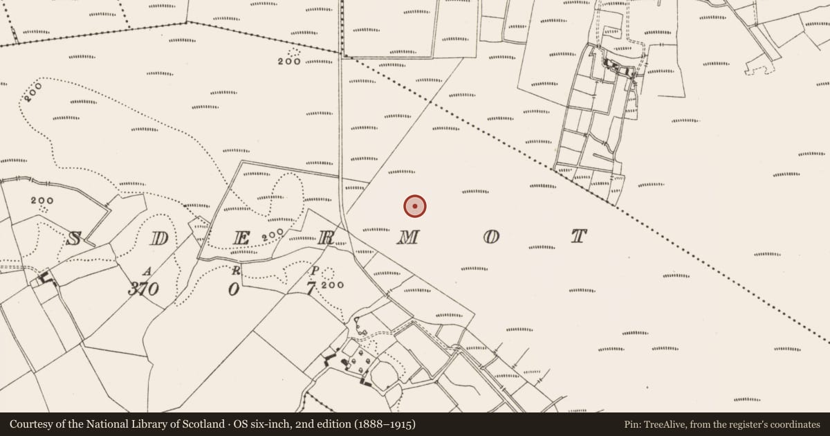 Ordnance Survey six-inch map, 2nd edition (1888–1915) covering the location of Structure - peatland, Lisdermot, County Offaly, with a pin at the register's coordinates