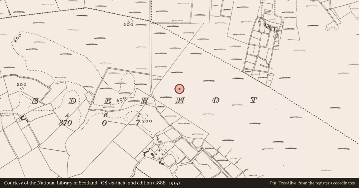 Ordnance Survey six-inch map, 2nd edition (1888–1915) covering the location of Structure - peatland, Lisdermot, County Offaly, with a pin at the register's coordinates
