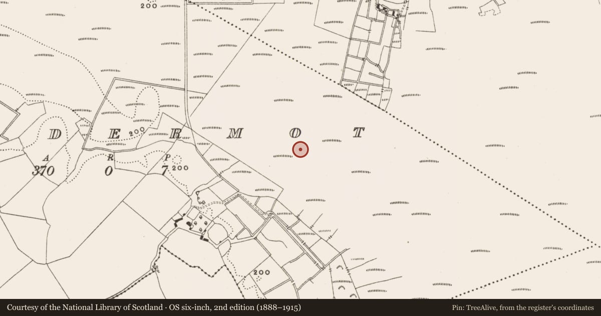 Ordnance Survey six-inch map, 2nd edition (1888–1915) covering the location of Structure - peatland, Lisdermot, County Offaly, with a pin at the register's coordinates