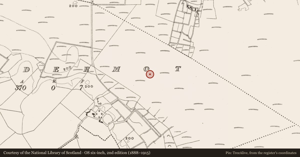 Ordnance Survey six-inch map, 2nd edition (1888–1915) covering the location of Structure - peatland, Lisdermot, County Offaly, with a pin at the register's coordinates