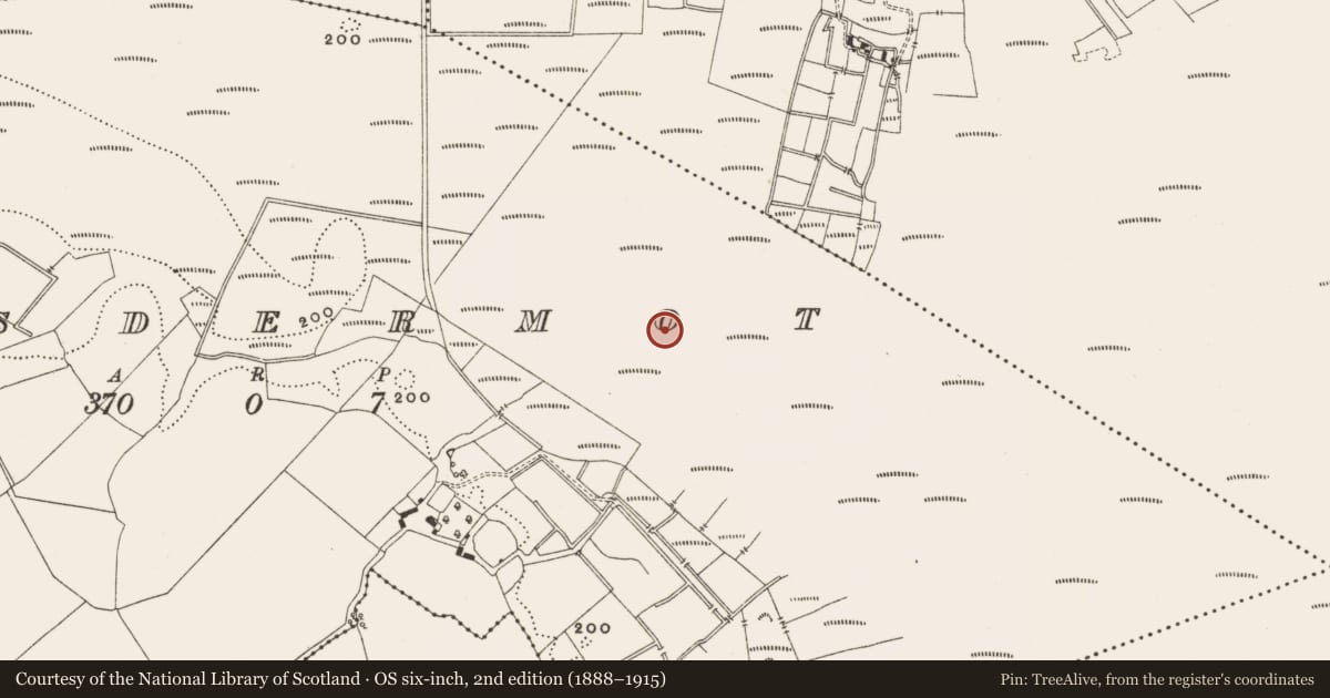 Ordnance Survey six-inch map, 2nd edition (1888–1915) covering the location of Structure - peatland, Lisdermot, County Offaly, with a pin at the register's coordinates