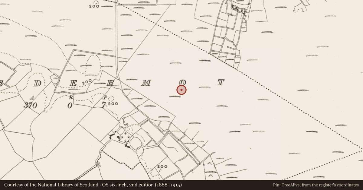 Ordnance Survey six-inch map, 2nd edition (1888–1915) covering the location of Structure - peatland, Lisdermot, County Offaly, with a pin at the register's coordinates