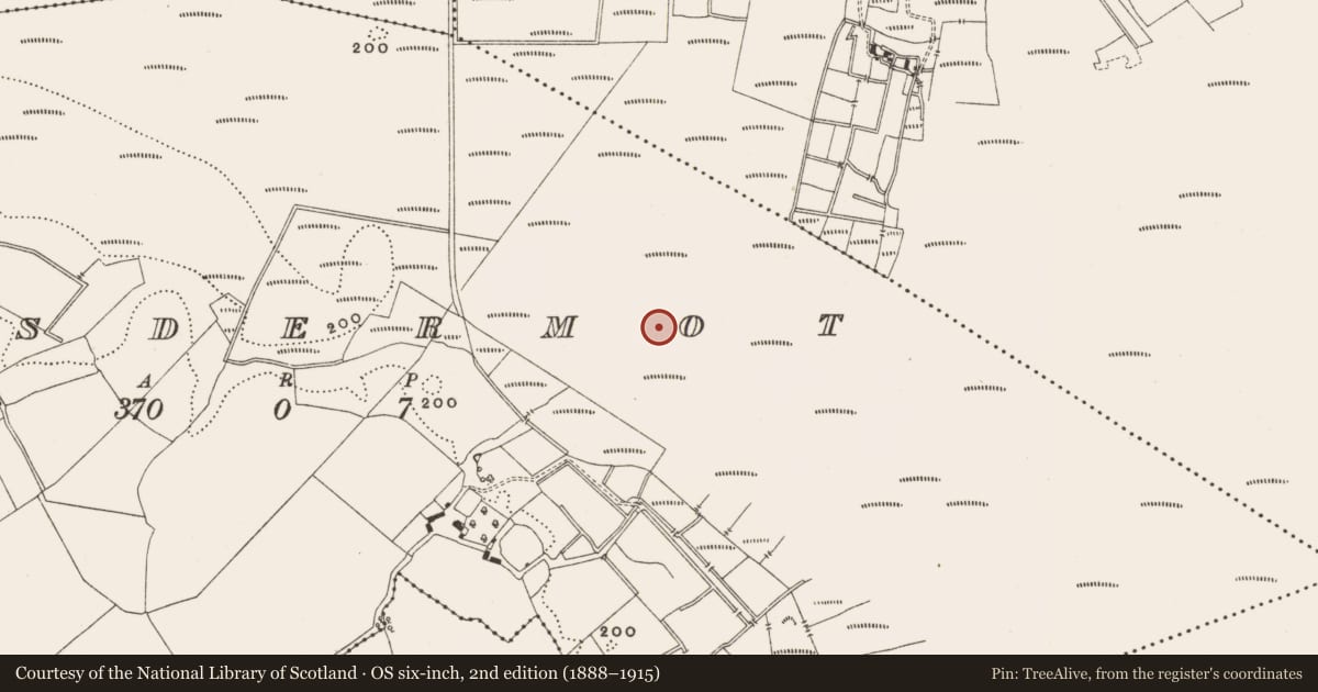 Ordnance Survey six-inch map, 2nd edition (1888–1915) covering the location of Structure - peatland, Lisdermot, County Offaly, with a pin at the register's coordinates