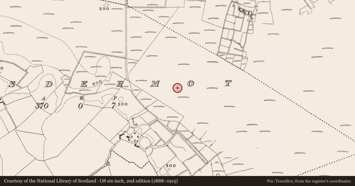 Ordnance Survey six-inch map, 2nd edition (1888–1915) covering the location of Structure - peatland, Lisdermot, County Offaly, with a pin at the register's coordinates