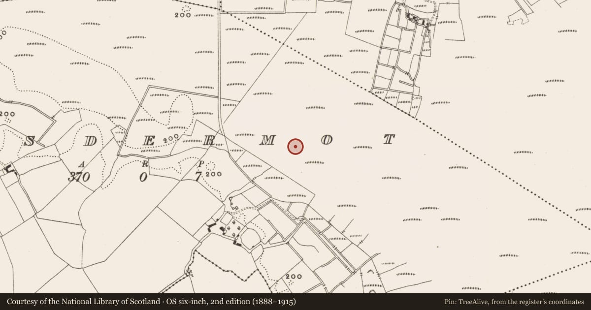 Ordnance Survey six-inch map, 2nd edition (1888–1915) covering the location of Structure - peatland, Lisdermot, County Offaly, with a pin at the register's coordinates