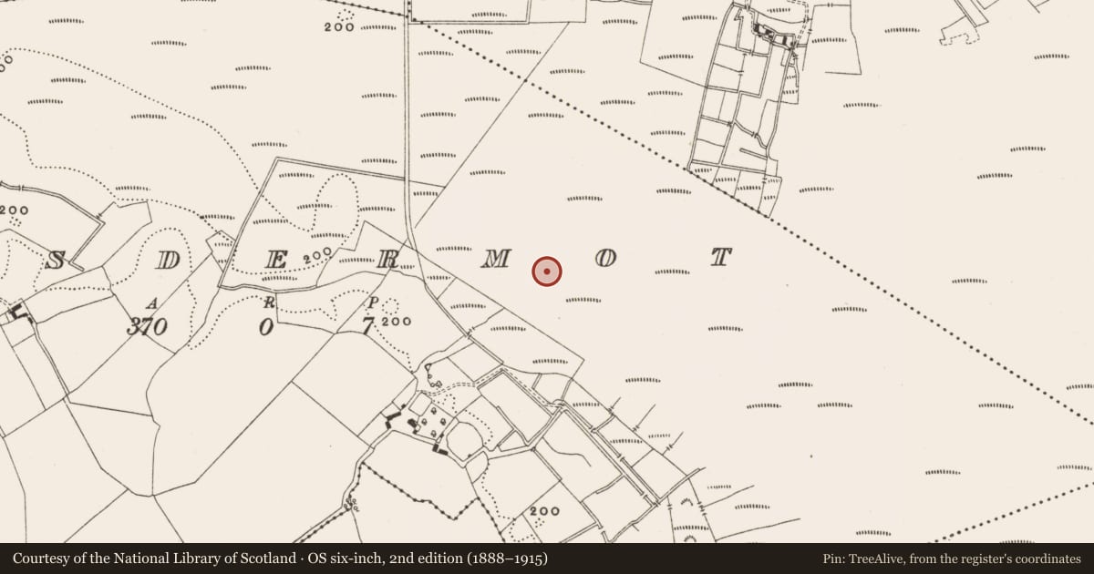 Ordnance Survey six-inch map, 2nd edition (1888–1915) covering the location of Structure - peatland, Lisdermot, County Offaly, with a pin at the register's coordinates