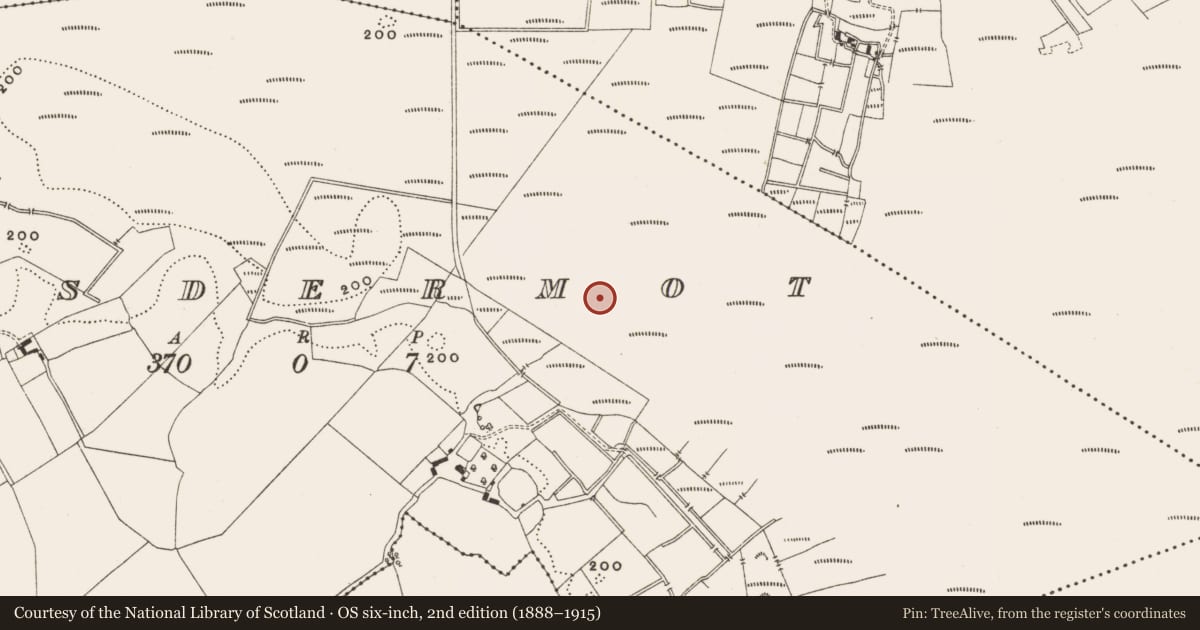 Ordnance Survey six-inch map, 2nd edition (1888–1915) covering the location of Structure - peatland, Lisdermot, County Offaly, with a pin at the register's coordinates