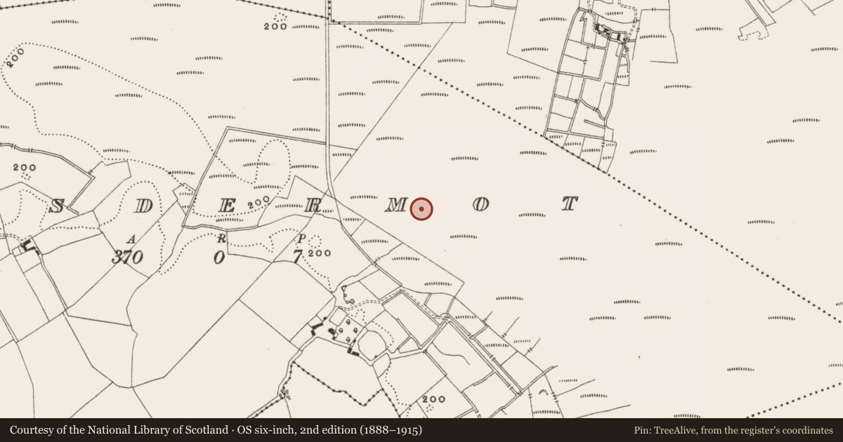 Ordnance Survey six-inch map, 2nd edition (1888–1915) covering the location of Structure - peatland, Lisdermot, County Offaly, with a pin at the register's coordinates
