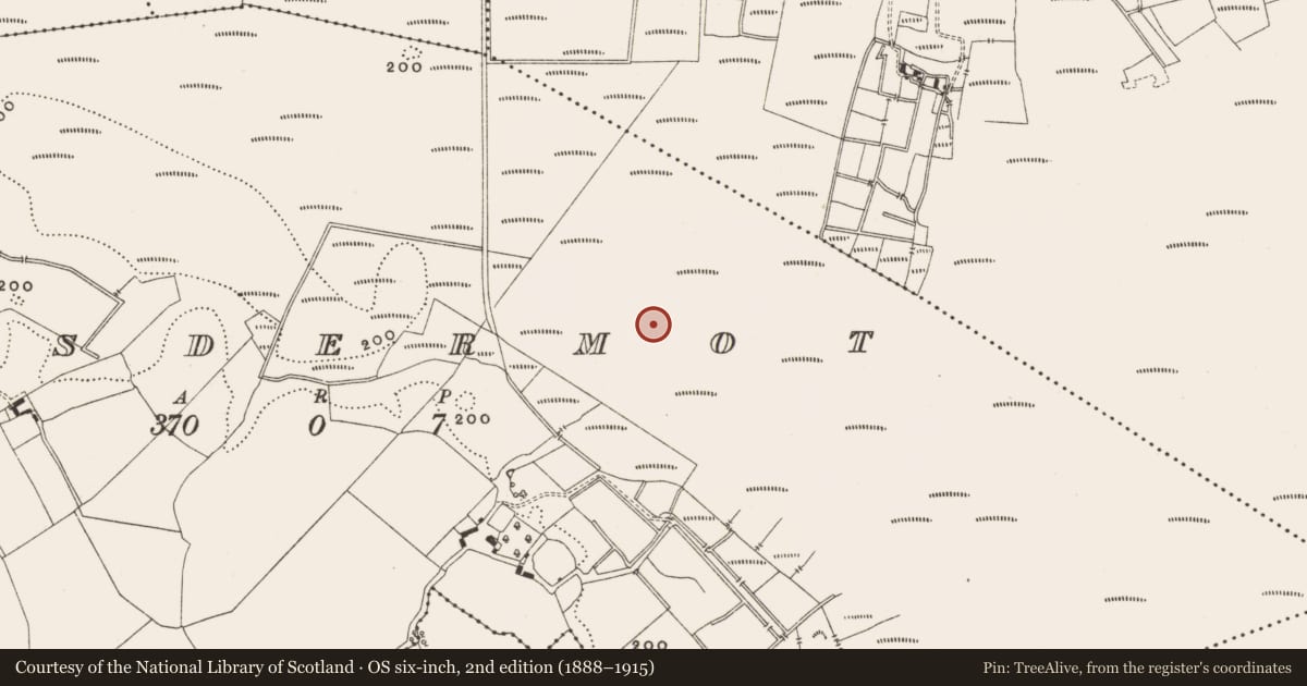 Ordnance Survey six-inch map, 2nd edition (1888–1915) covering the location of Structure - peatland, Lisdermot, County Offaly, with a pin at the register's coordinates