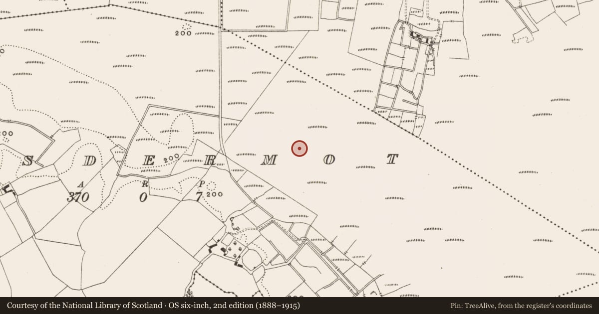 Ordnance Survey six-inch map, 2nd edition (1888–1915) covering the location of Structure - peatland, Lisdermot, County Offaly, with a pin at the register's coordinates