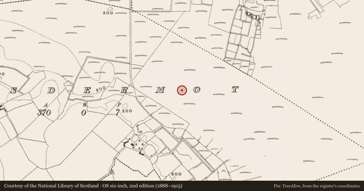 Ordnance Survey six-inch map, 2nd edition (1888–1915) covering the location of Structure - peatland, Lisdermot, County Offaly, with a pin at the register's coordinates