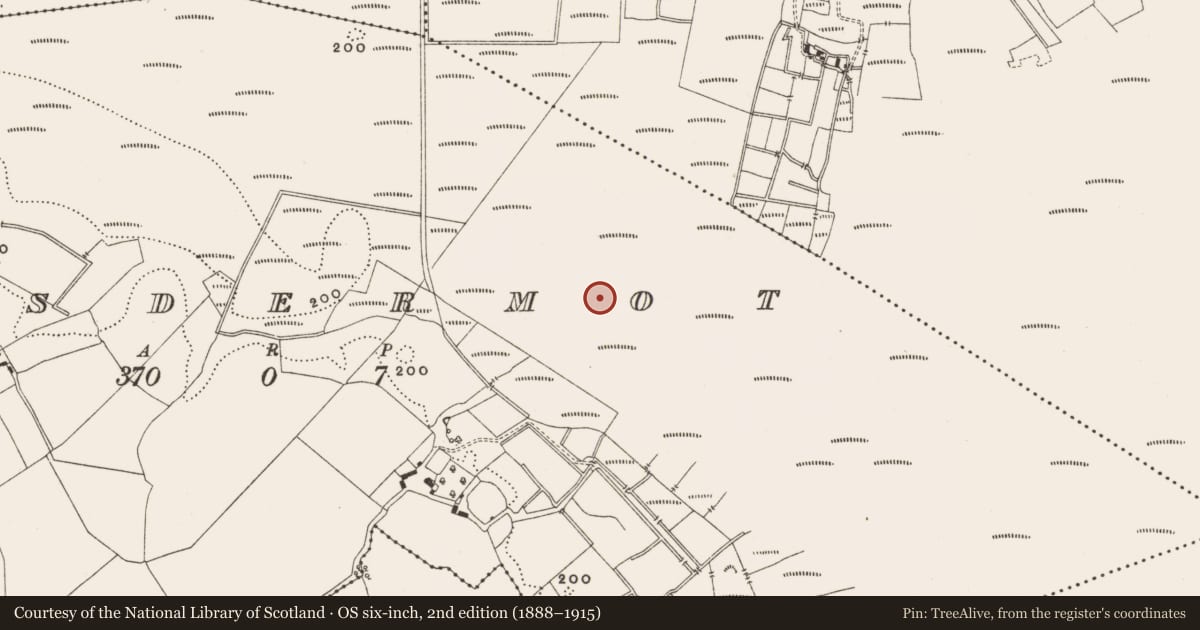 Ordnance Survey six-inch map, 2nd edition (1888–1915) covering the location of Structure - peatland, Lisdermot, County Offaly, with a pin at the register's coordinates