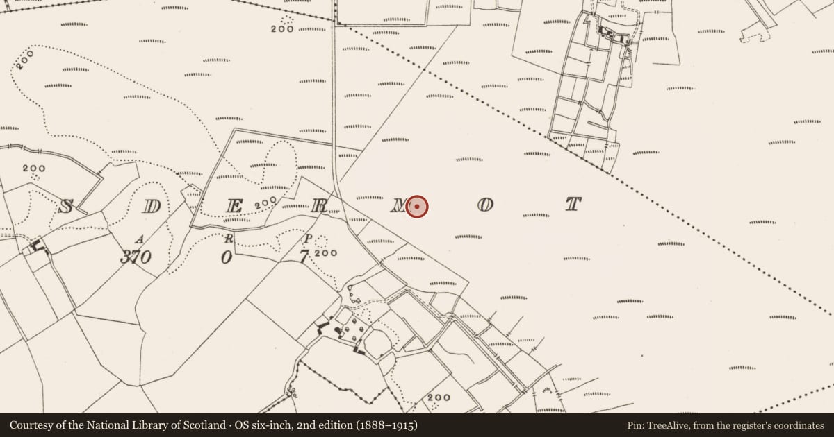 Ordnance Survey six-inch map, 2nd edition (1888–1915) covering the location of Structure - peatland, Lisdermot, County Offaly, with a pin at the register's coordinates