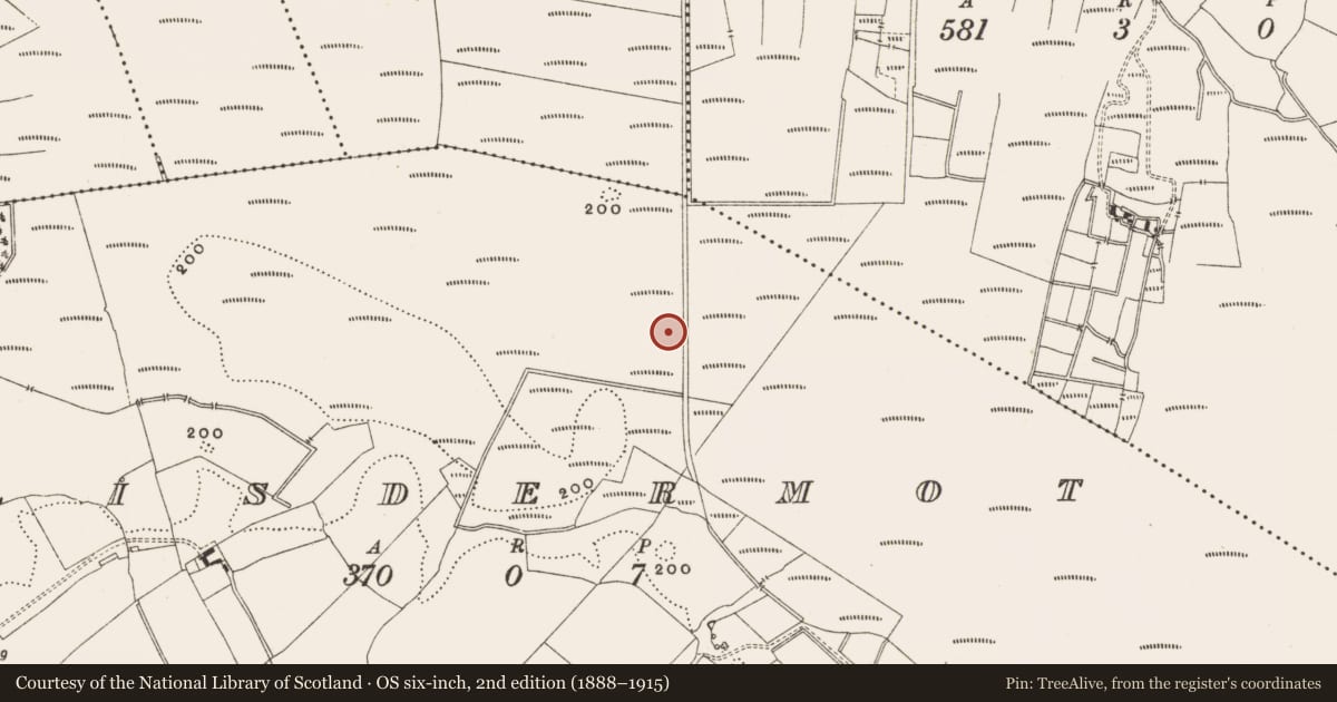 Ordnance Survey six-inch map, 2nd edition (1888–1915) covering the location of Road - class 3 togher, Lisdermot, County Offaly, with a pin at the register's coordinates