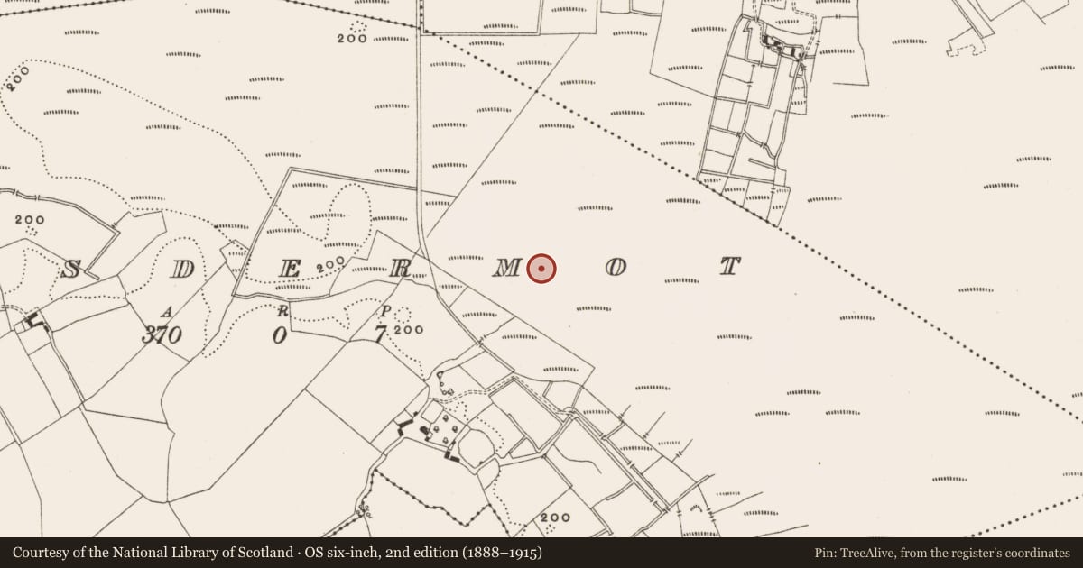 Ordnance Survey six-inch map, 2nd edition (1888–1915) covering the location of Structure - peatland, Lisdermot, County Offaly, with a pin at the register's coordinates