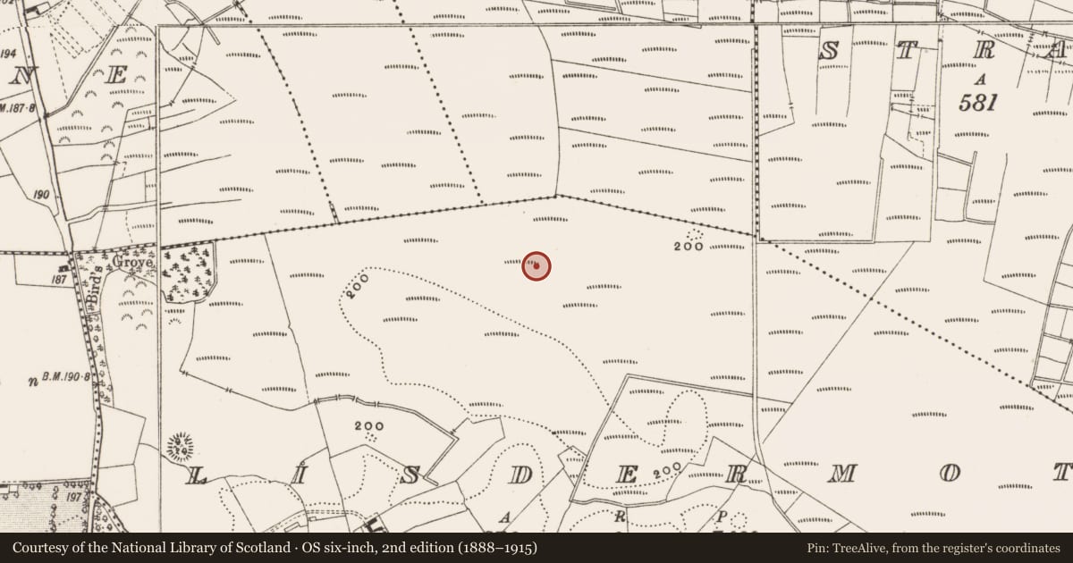 Ordnance Survey six-inch map, 2nd edition (1888–1915) covering the location of Structure - peatland, Lisdermot, County Offaly, with a pin at the register's coordinates