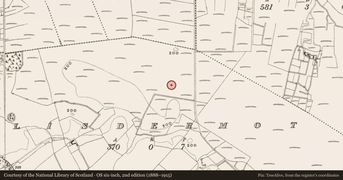 Ordnance Survey six-inch map, 2nd edition (1888–1915) covering the location of Structure - peatland, Lisdermot, County Offaly, with a pin at the register's coordinates