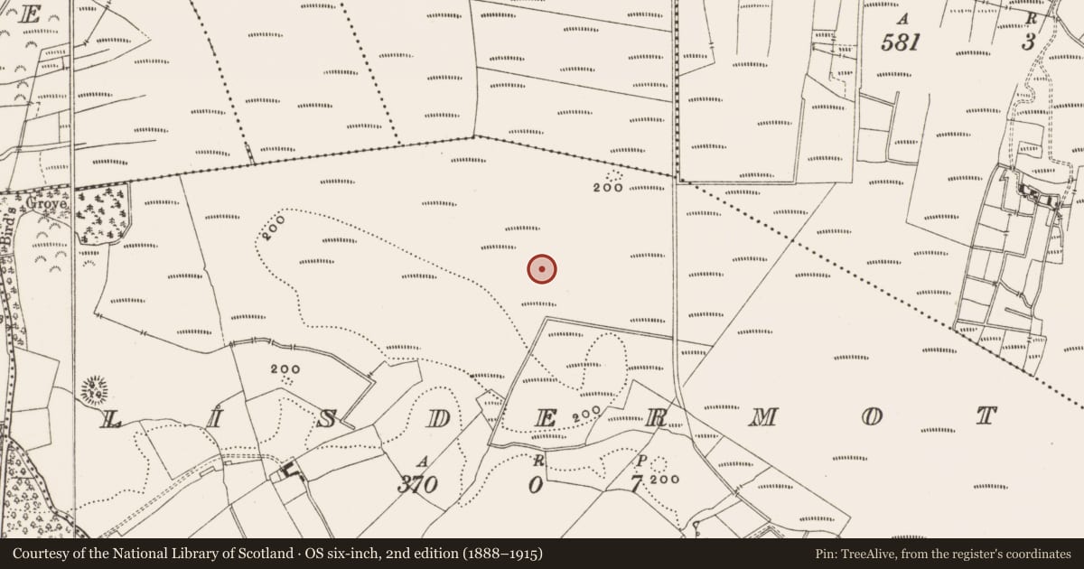 Ordnance Survey six-inch map, 2nd edition (1888–1915) covering the location of Structure - peatland, Lisdermot, County Offaly, with a pin at the register's coordinates
