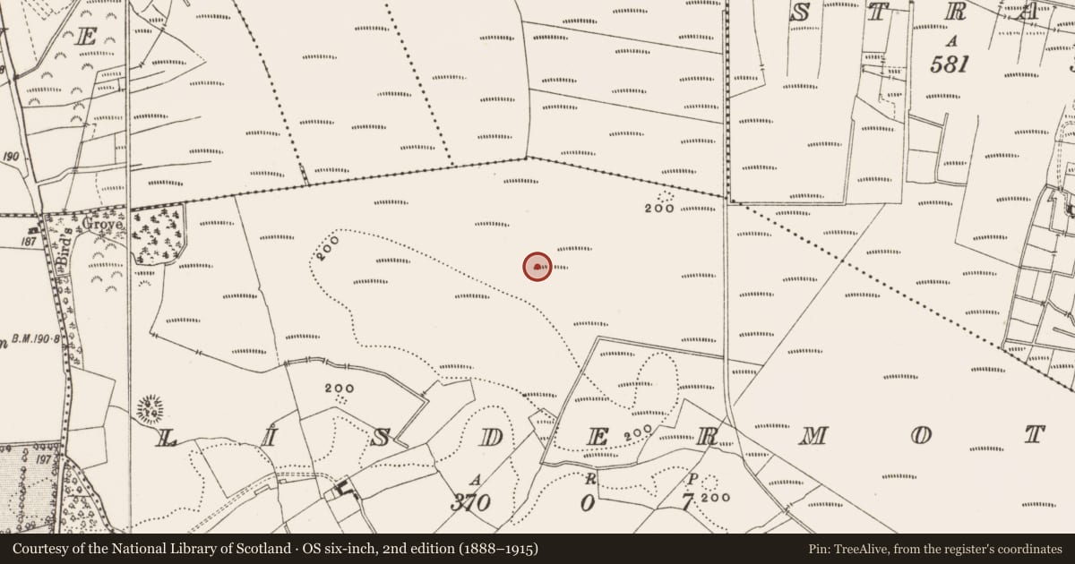 Ordnance Survey six-inch map, 2nd edition (1888–1915) covering the location of Structure - peatland, Lisdermot, County Offaly, with a pin at the register's coordinates