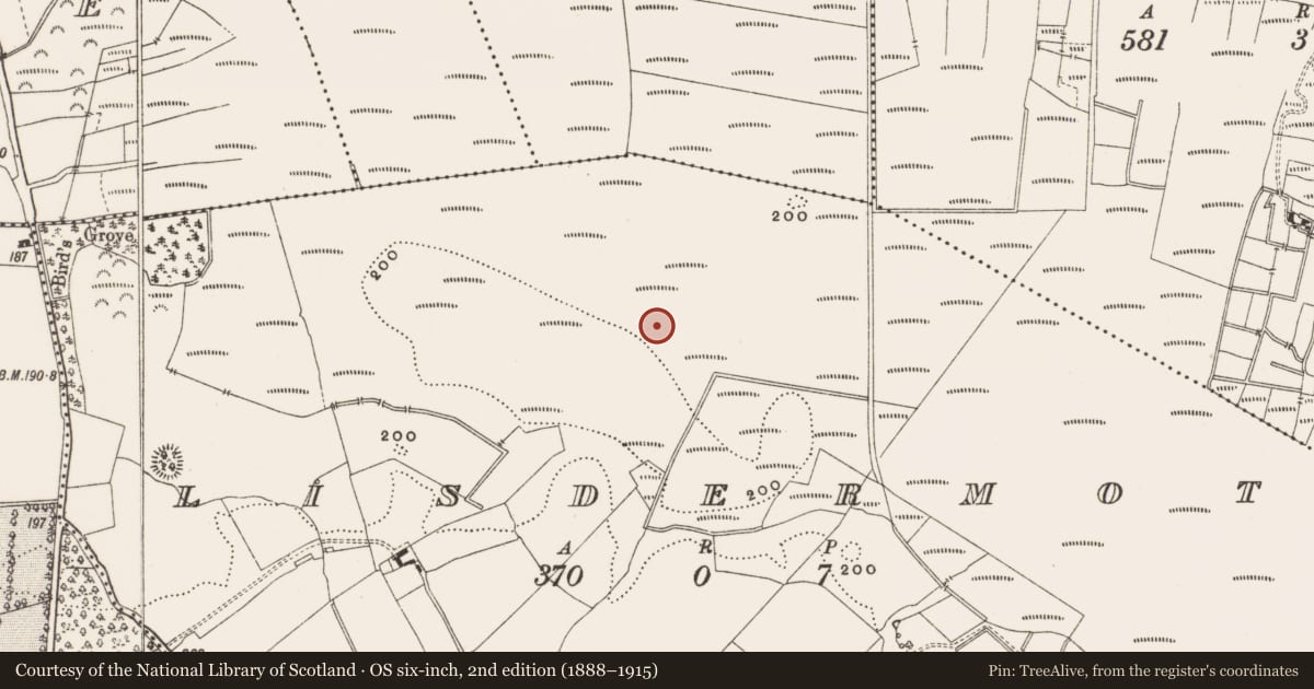 Ordnance Survey six-inch map, 2nd edition (1888–1915) covering the location of Structure - peatland, Lisdermot, County Offaly, with a pin at the register's coordinates