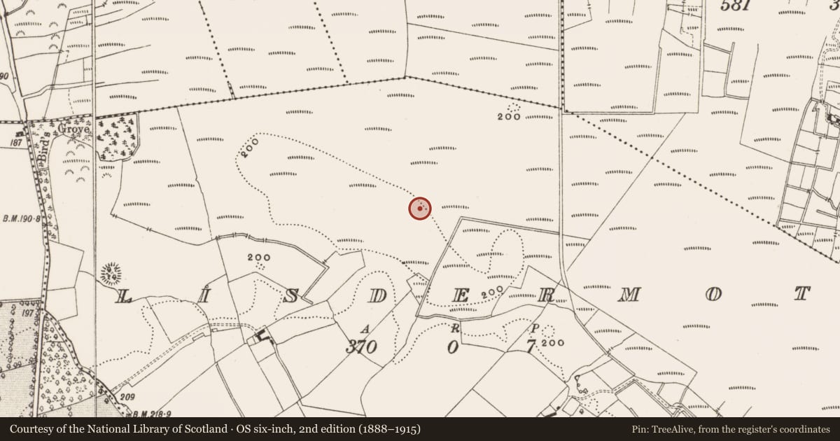 Ordnance Survey six-inch map, 2nd edition (1888–1915) covering the location of Structure - peatland, Lisdermot, County Offaly, with a pin at the register's coordinates