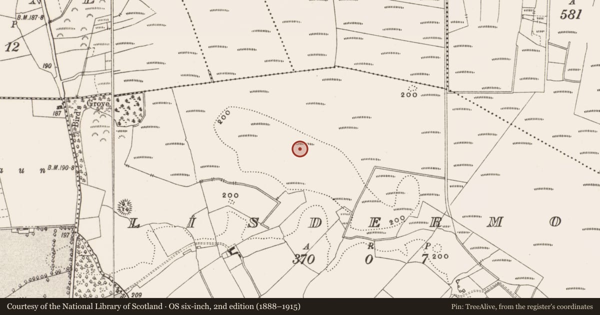 Ordnance Survey six-inch map, 2nd edition (1888–1915) covering the location of Structure - peatland, Lisdermot, County Offaly, with a pin at the register's coordinates
