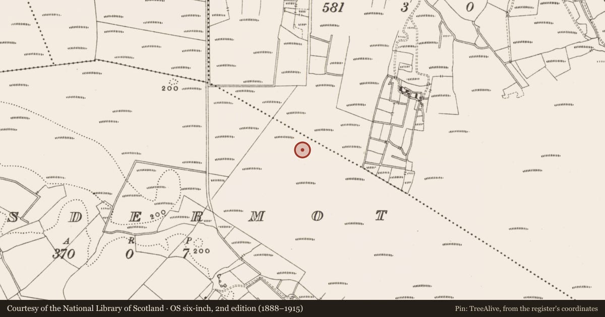 Ordnance Survey six-inch map, 2nd edition (1888–1915) covering the location of Structure - peatland, Lisdermot, County Offaly, with a pin at the register's coordinates